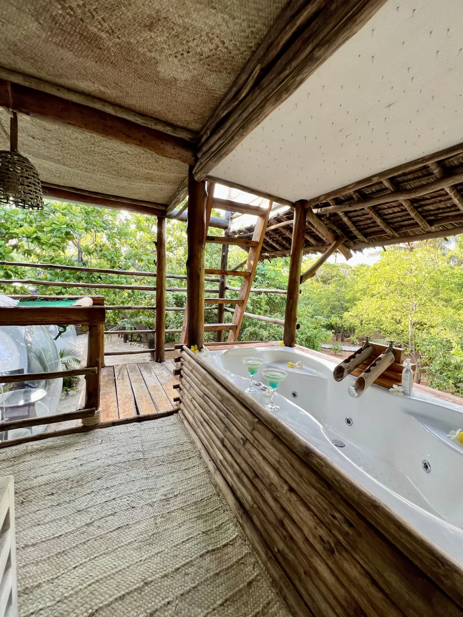 bush bubble lodge