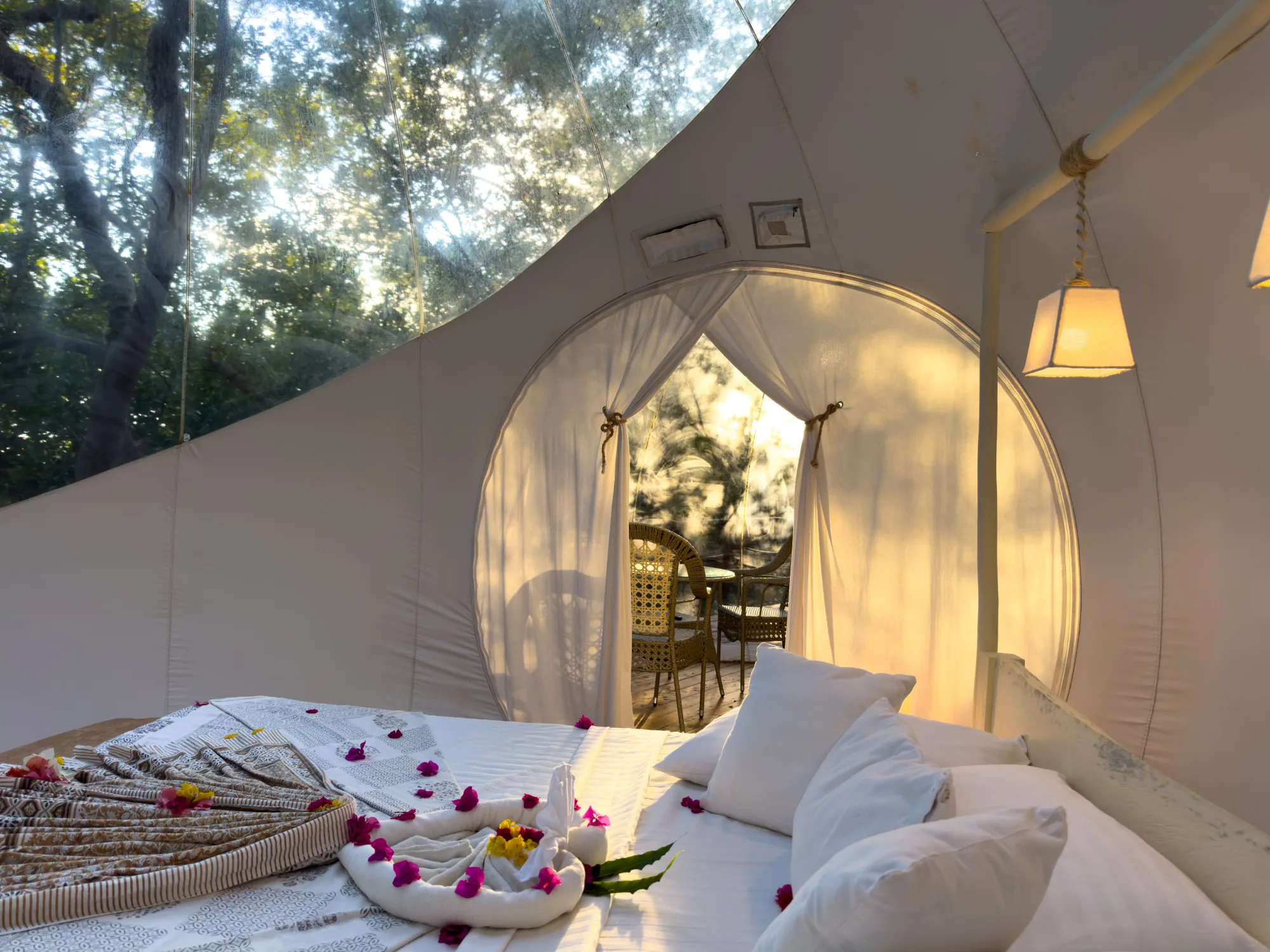 Morning light in the baobab bubble lodge